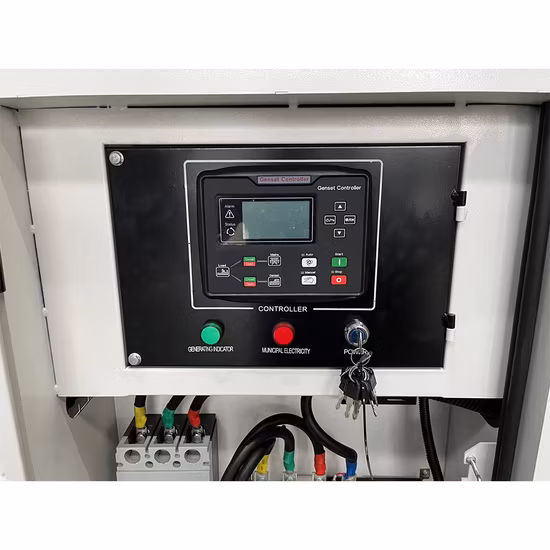 100kVA 80kw Partida elétrica Grupo gerador diesel à prova de som com motor